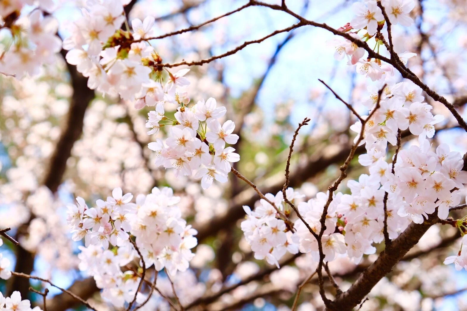 29053004_m.jp
