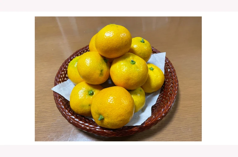 ブログ}