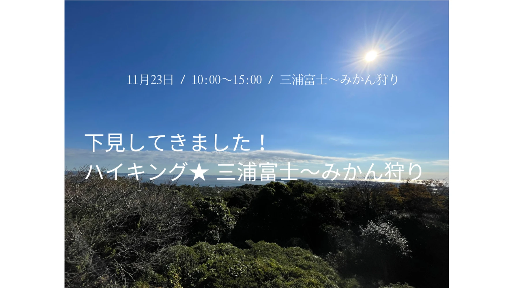 ブログ